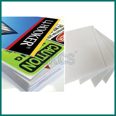PP Hollow Board – Lightweight, Durable, and Versatile Plastic Sheets for advertising and display